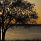 Image for article titled Shooting Challenge: Golden Hour Gallery 2